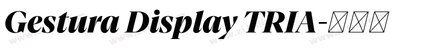 Gestura Display TRIA字体转换 Gestura Display TRIA字体转换